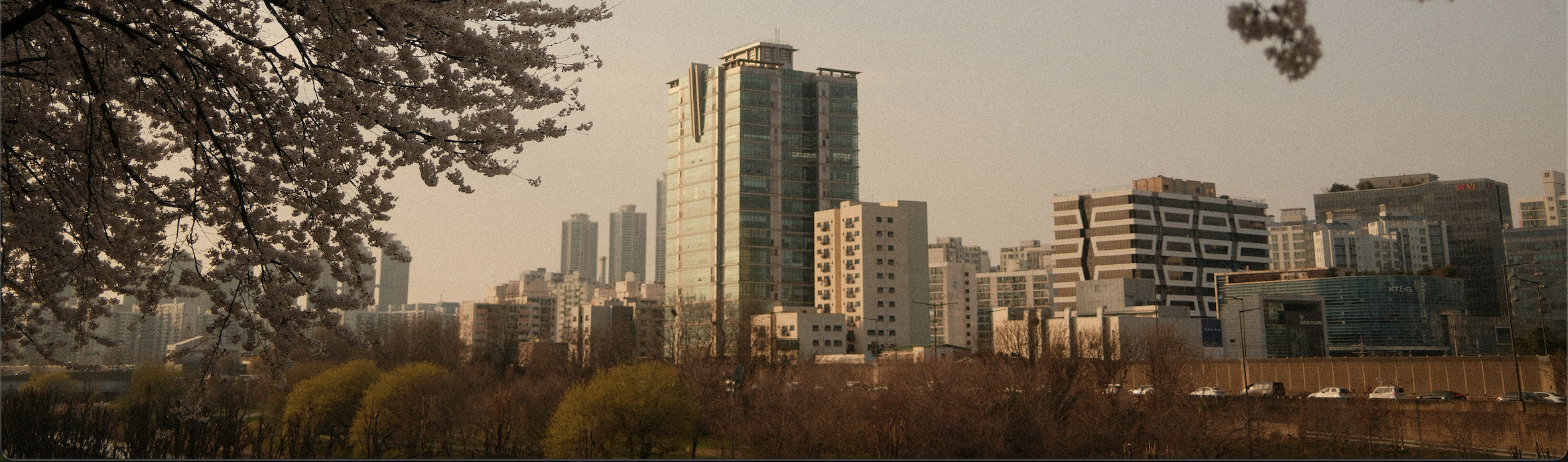 Skyline met kersenbloesem in de lente